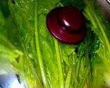 ほうれん草の保存方法作り方2写真