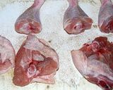 骨付きチキンのワイン煮☆簡単フレンチ♪作り方2写真