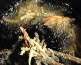 カリっサクっ! 小魚のかきあげ作り方5写真