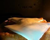 簡単♪炙りチーズ稲荷寿司(ﾉ´∀｀*)♡作り方4写真