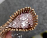 ハートの巻き寿司♪ひな祭り・バレンタイン作り方3写真