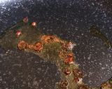 女将に聞いた、レンコンのきんぴら作り方3写真