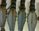 簡単☆有頭海老の味噌マヨチーズ焼き★作り方1写真