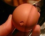夏も!あのコンビニに負けないプロ級おでん作り方3写真