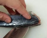 アジの三枚おろし作り方5写真