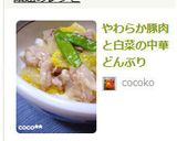やわらか豚肉と白菜の中華どんぶり作り方11写真