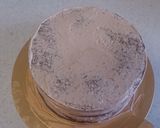 きらり!!チョコ生ケーキ作り方9写真