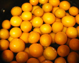 金柑ジャム作り方1写真