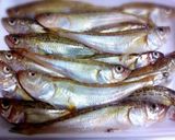 はたはた〈魚〉の味噌煮=調理時間10分!作り方1写真