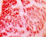 ハンバーグ職人直伝！牛ステーキ肉の焼き方作り方34写真