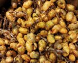 カリカリっと甘じょっぱい♪大豆の甘辛揚げ作り方8写真