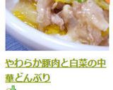 やわらか豚肉と白菜の中華どんぶり作り方12写真