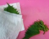 鶏胸肉のとりわさ☆作り方1写真