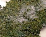 お煎茶のカリカリふりかけ☆まみち園作り方2写真