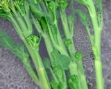 スティックセニョールの肉巻き作り方1写真