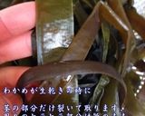 簡単楽しい♫生わかめでふりかけ作り！作り方4写真