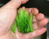 柚子が香る★ほうれん草のお浸し作り方8写真