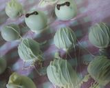 ひと手間トリュフ作り方15写真