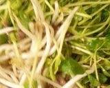 簡単♪お肉を照り良く☆豆苗もやし炒め♪作り方5写真