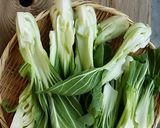 ☆簡単☆チンゲン菜ミルクシチュー♪作り方1写真