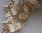 しめじの根元の醤油バター炒め作り方1写真