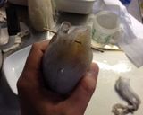 【男のジャンク飯】イカめし＋作り方7写真