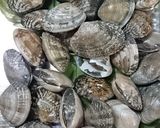 あさりの味噌汁＊砂出し作り方1写真