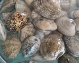 あさりの味噌汁＊砂出し作り方5写真