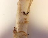 ウドの豚肉巻き作り方1写真