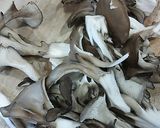 具だくさん野菜スープ作り方4写真