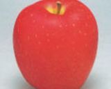 リンゴの季節になってきました！作り方7写真