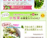 やみつき？！簡単すぎる小松菜チャーハン作り方9写真
