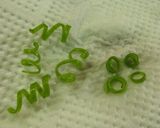 長ねぎの青いところを活用☆緑のくるくる作り方6写真