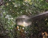 ご飯の共に海苔の佃煮作り方4写真