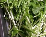 祝☆話題入り混ぜるだけ♪簡単水菜サラダ作り方1写真