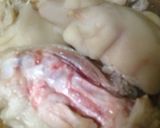 豚足の仕込み作り方7写真
