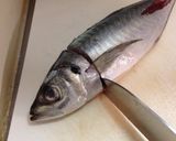 アジフライ用 きれいなあじの開き方作り方4写真
