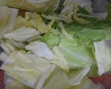 白菜と大根鶏挽肉でダブルサンド作り方1写真
