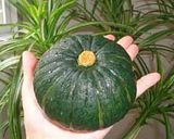 かぼちゃの丸ごとグラタン作り方1写真