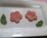 七夕＆ひな祭りに✿米粉おから餅でお雛様✿作り方15写真