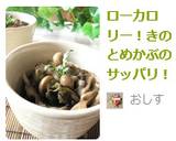 ローカロリー！きのことめかぶのサッパリ！作り方8写真