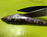 メヒカリ (アオメエソ) の胡麻揚げ♪作り方2写真