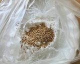 金曜日はタコスの日☆米粉生地トルティーヤ作り方1写真
