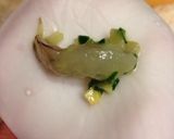 お皿を使って簡単に♪海老蒸し餃子✿作り方6写真