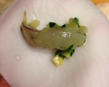 お皿を使って簡単に♪海老蒸し餃子✿作り方6写真