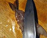 サクっともう一品、エビのパン粉焼き作り方3写真