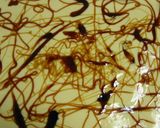 豆腐で。ベイクドチーズケーキ風作り方8写真