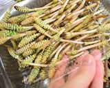 大人カワイイ♥伊予柑と魚の春ちらし寿司作り方11写真