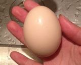 ゆで卵の綺麗な殻むき作り方1写真