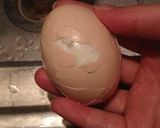 ゆで卵の綺麗な殻むき作り方4写真
